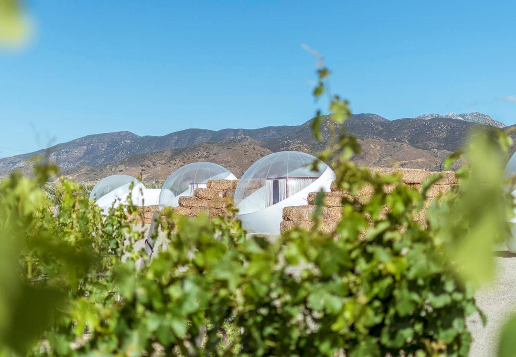 Campera Valle De Guadalupe Ensenada Eksteriør billede